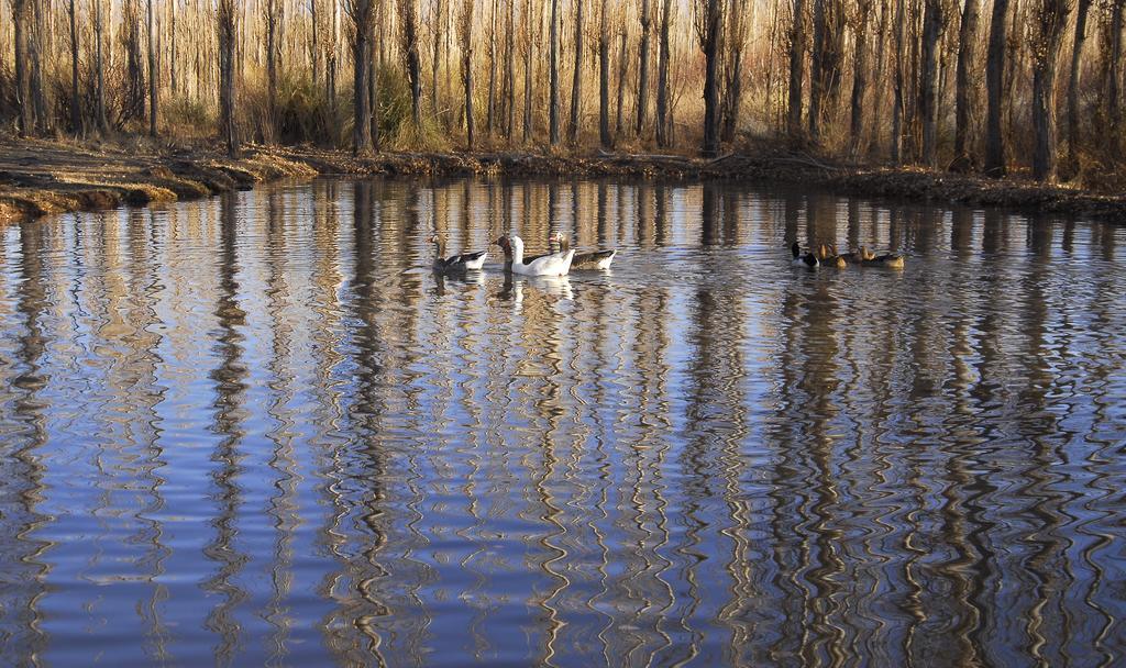 Готель Posada Paso De Los Patos Барреаль Екстер'єр фото
